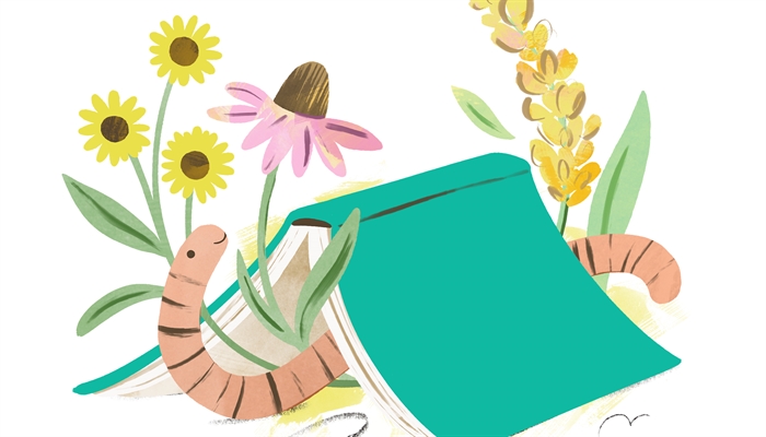 Iresan Program iREAD: Reading Programs