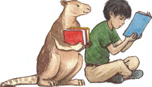 iREAD: Reading Programs