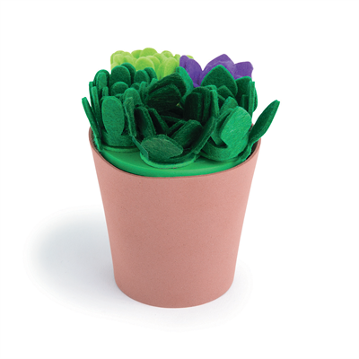 Succulent Plant Craft Kit (3 kits per set)