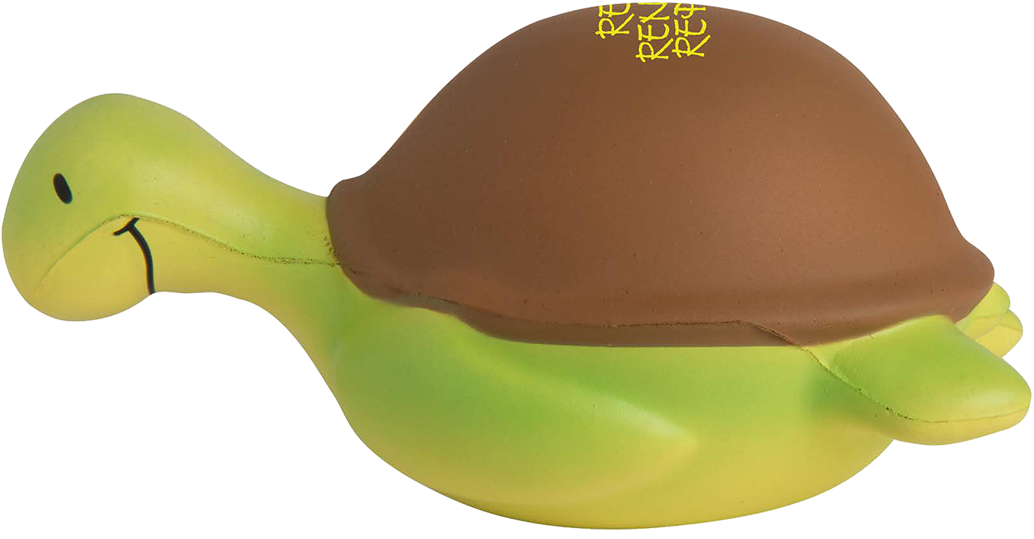 Squishy sea turtle iread reading programs